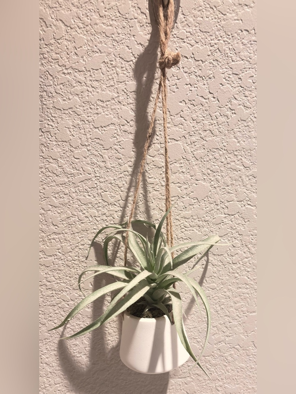 Neutral Green Hanging Faux Air Plant in White Ceramic Pot